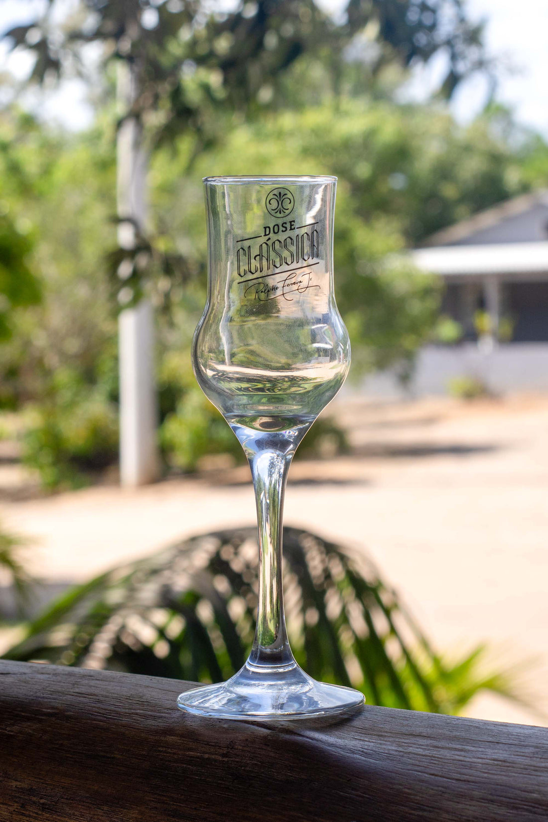 Taça de Cristal Dose Clássica Alambique 90ml